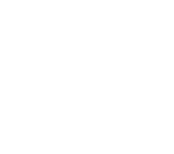 Emic Travel