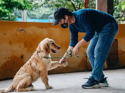 Hoi An is first locality to commit not to eat dog and cat meat