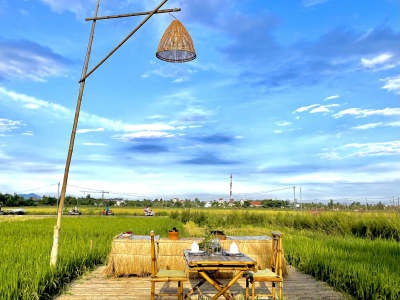 Romantic Dining On Paddy Field